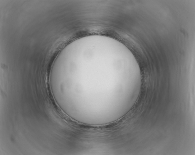 X0000090960502200708021124