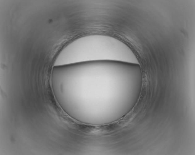 X0000090960504200708021124