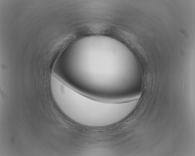 X0000090960505200708021124
