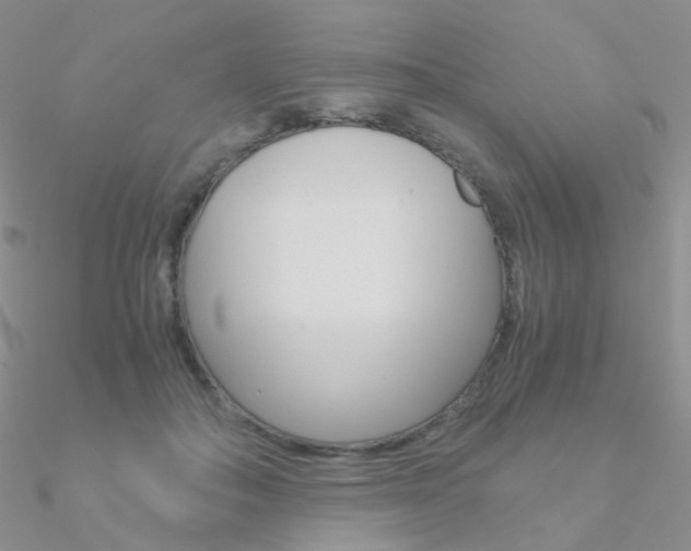 X0000090960506200708021124