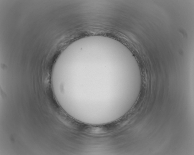X0000090960507200708021124