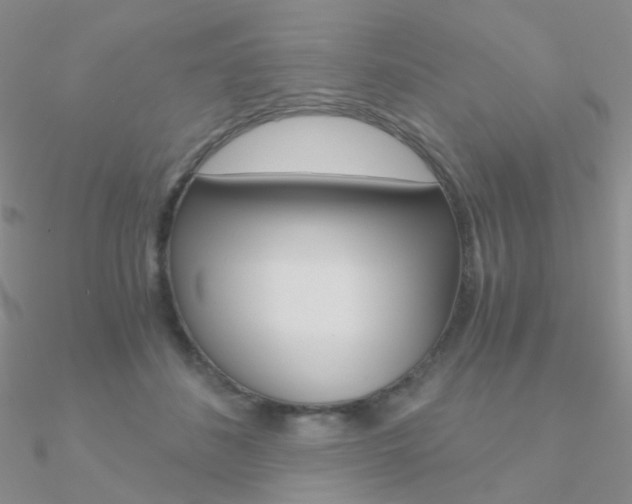 X0000090960508200708021124
