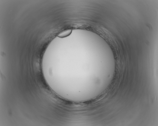 X0000090960510200708021124