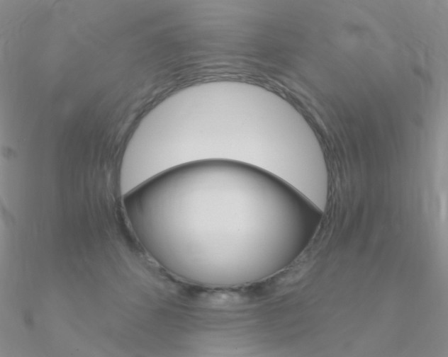 X0000090960512200708021124