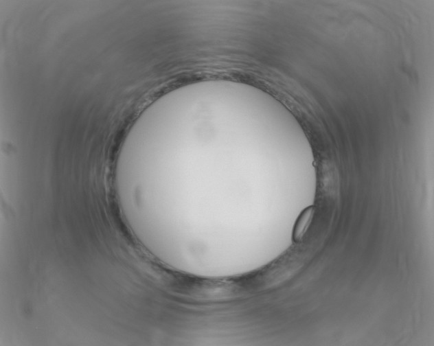 X0000090960514200708021124