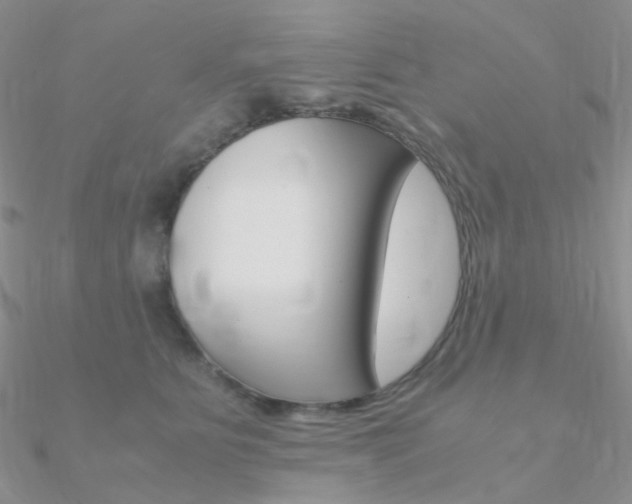 X0000090960515200708021124