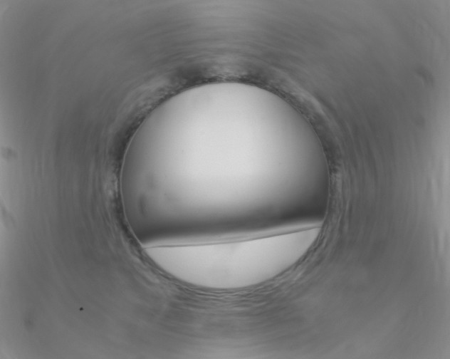 X0000090960517200708021124