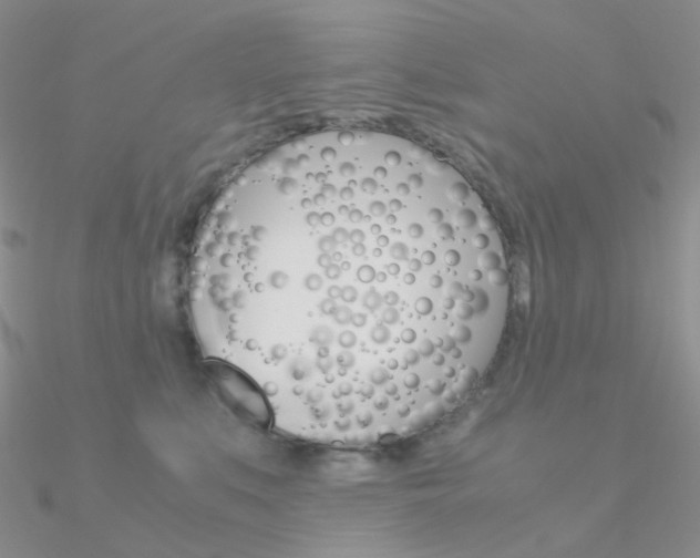 X0000090960519200708021124