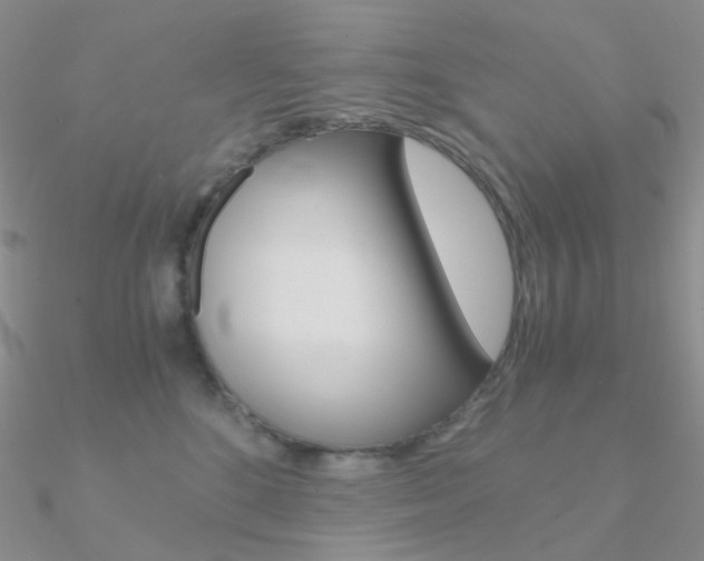 X0000090960520200708021124