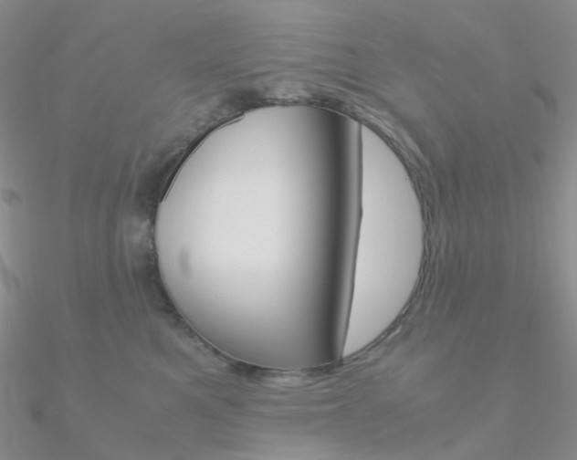 X0000090960521200708021124
