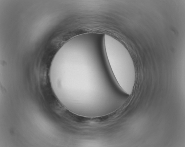 X0000090960525200708021124