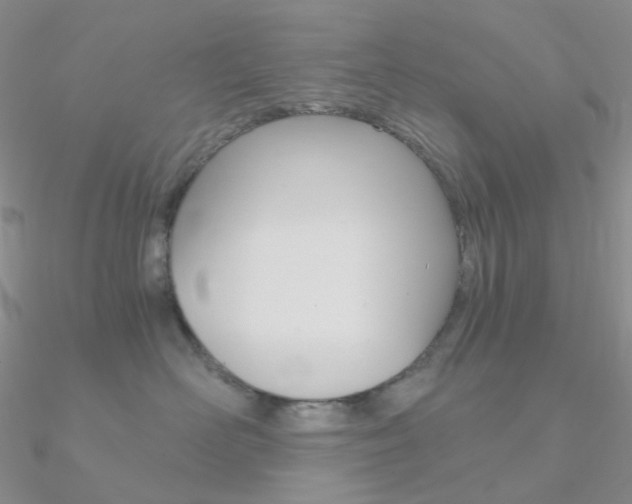 X0000090960526200708021124