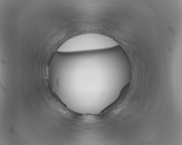 X0000090960528200708021124