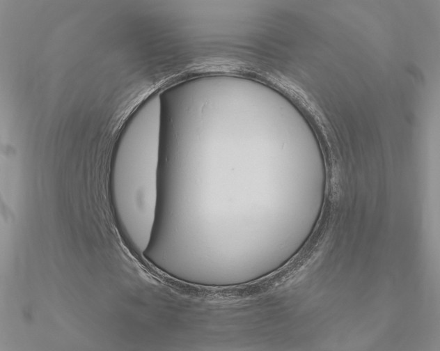 X0000090960529200708021123
