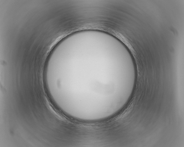 X0000090960530200708021123