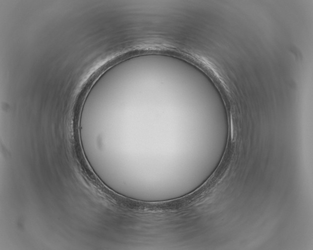 X0000090960531200708021123