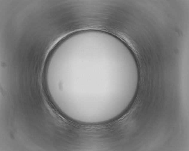 X0000090960532200708021123