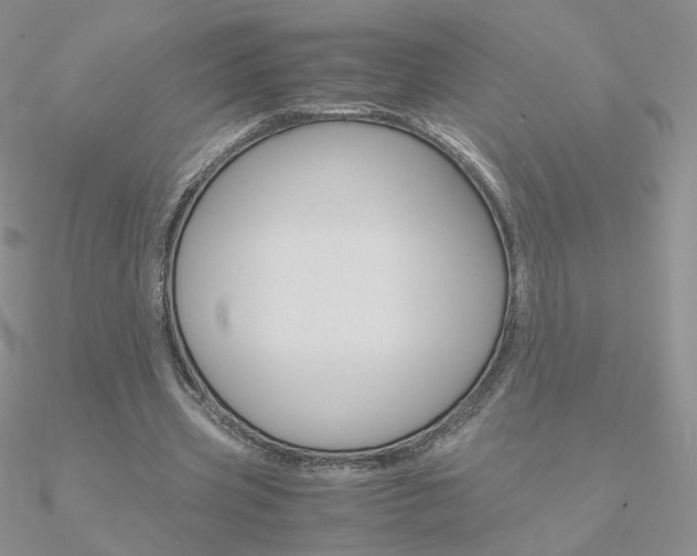 X0000090960533200708021123