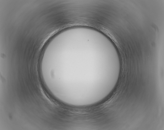 X0000090960534200708021123
