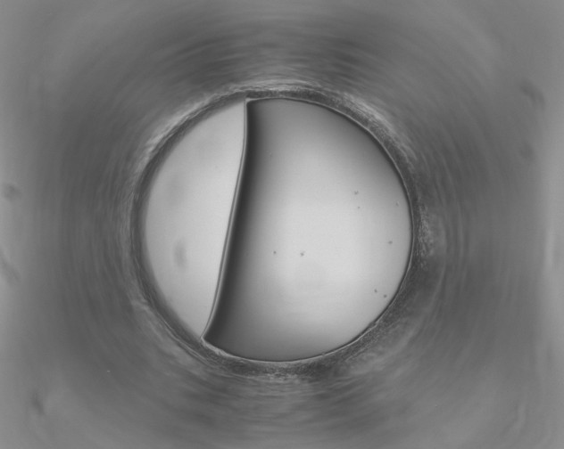 X0000090960535200708021123