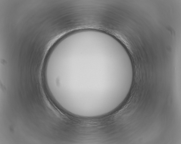 X0000090960536200708021123