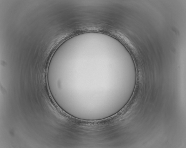 X0000090960537200708021123
