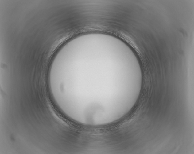 X0000090960538200708021123