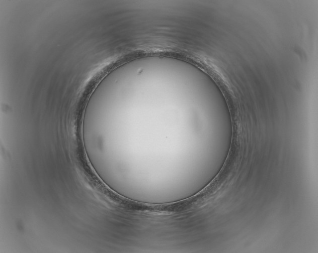 X0000090960539200708021123