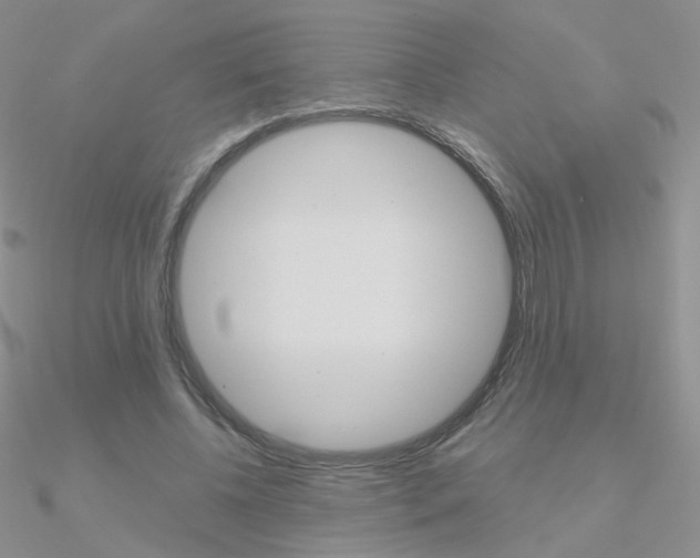 X0000090960540200708021123
