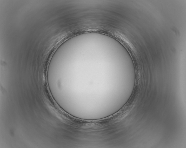X0000090960541200708021123