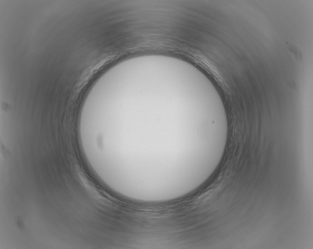 X0000090960542200708021123