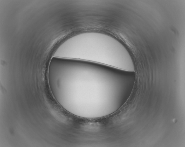 X0000090960543200708021123