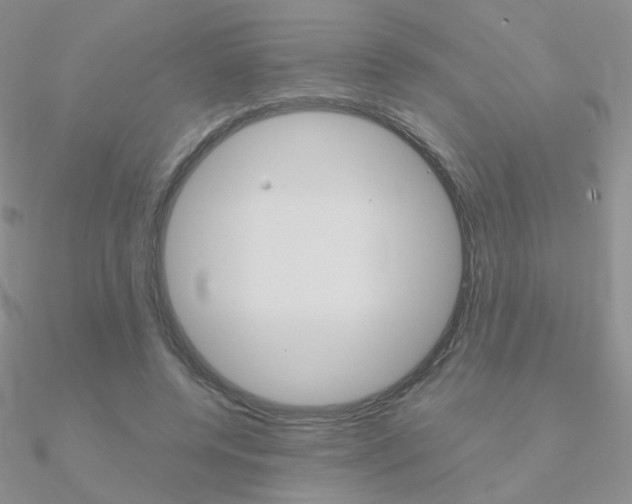 X0000090960544200708021123