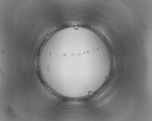 X0000090960545200708021123