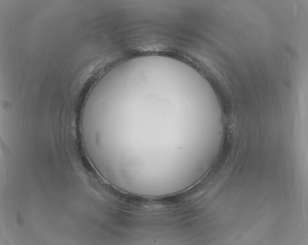 X0000090960547200708021123
