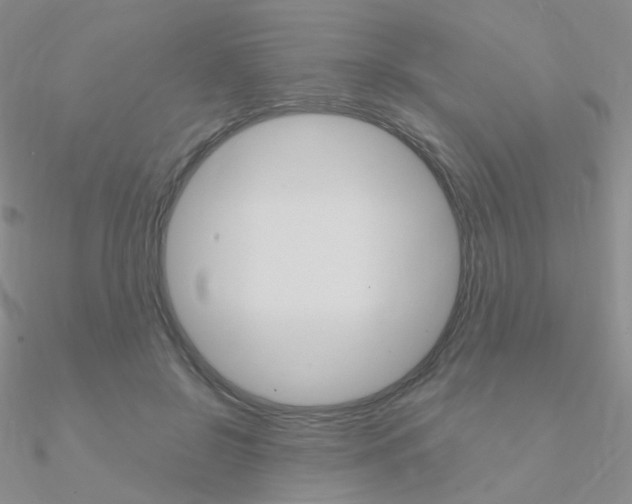 X0000090960550200708021124