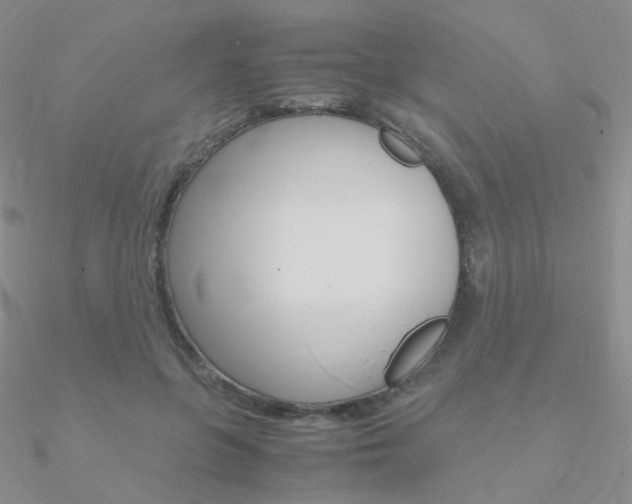 X0000090960551200708021124