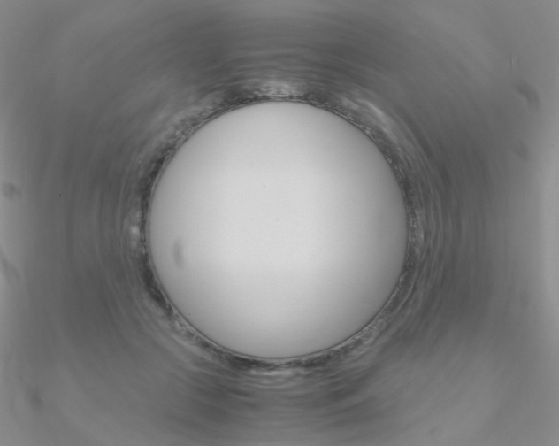 X0000090960553200708021124