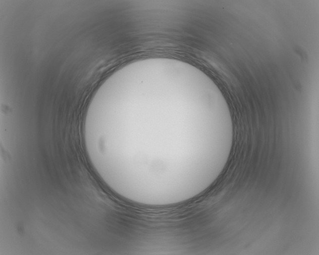 X0000090960554200708021124