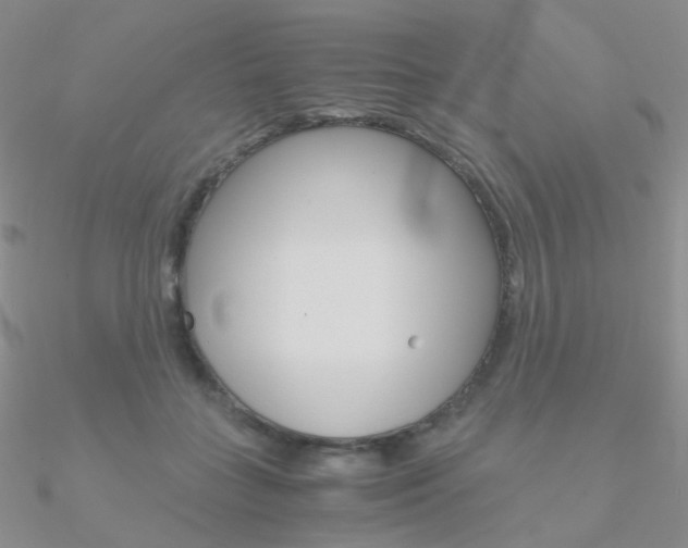 X0000090960555200708021124