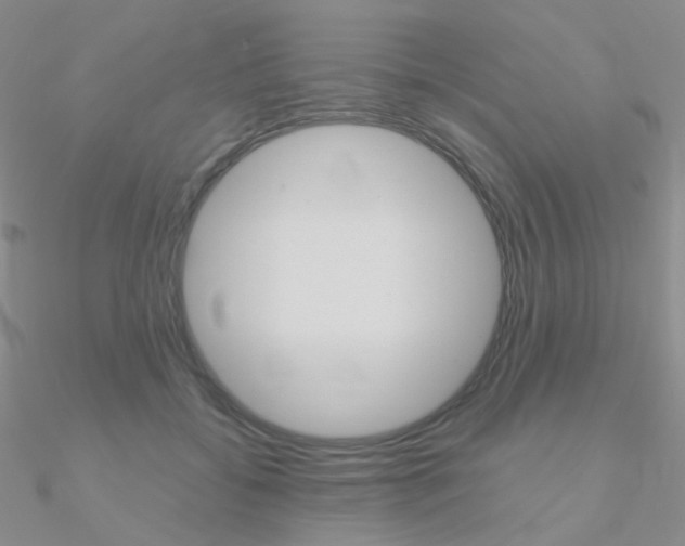 X0000090960556200708021124