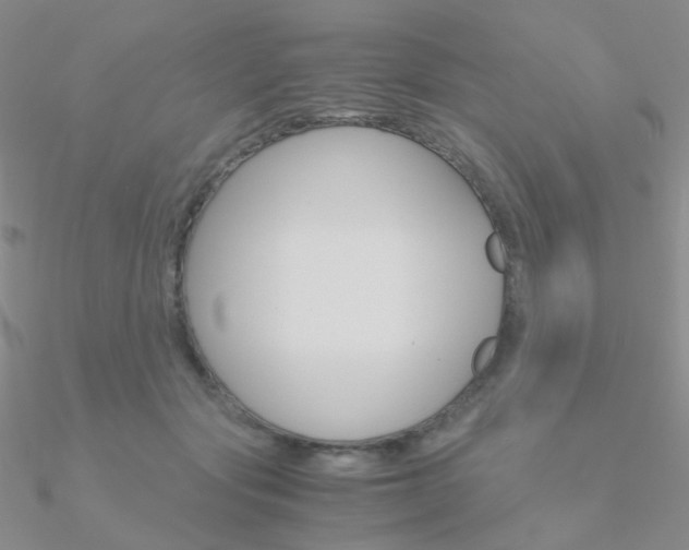 X0000090960557200708021124