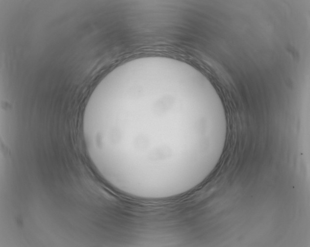 X0000090960558200708021124