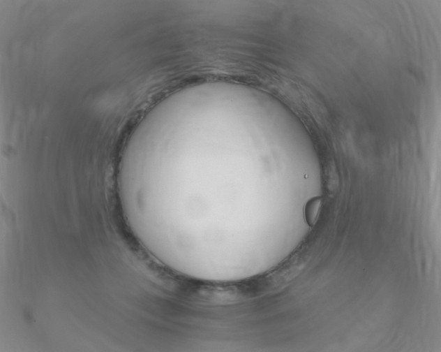 X0000090960559200708021124