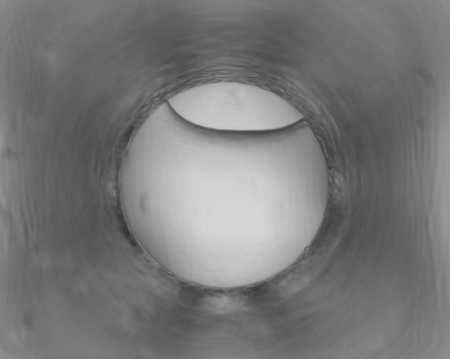 X0000090960561200708021124
