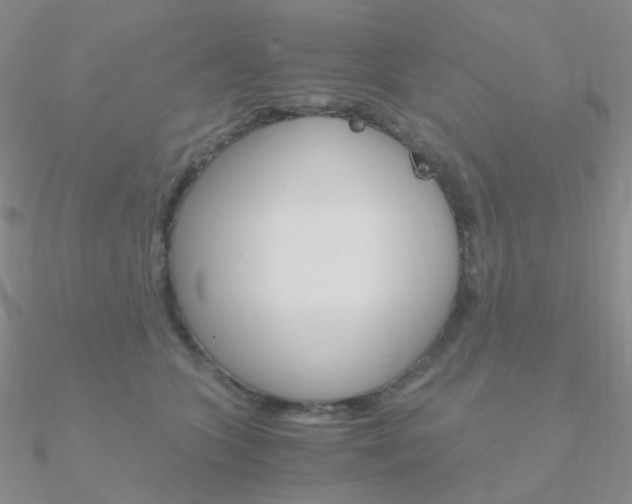 X0000090960563200708021124