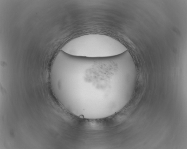 X0000090960565200708021124