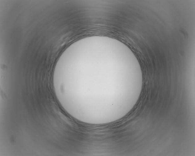 X0000090960568200708021124