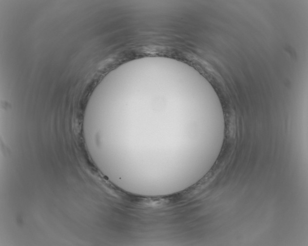 X0000090960569200708021124