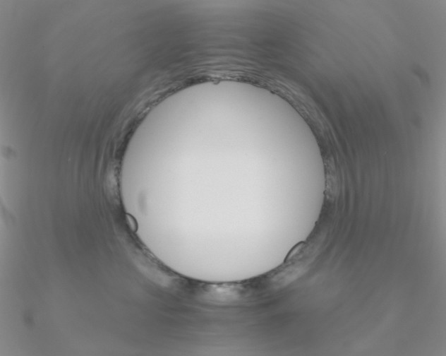X0000090960573200708021124